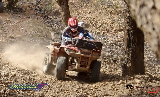 hosto 2014_10