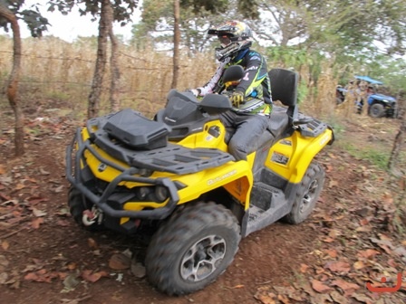 Ameca 2015_1