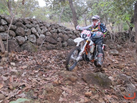 Ameca 2015_9