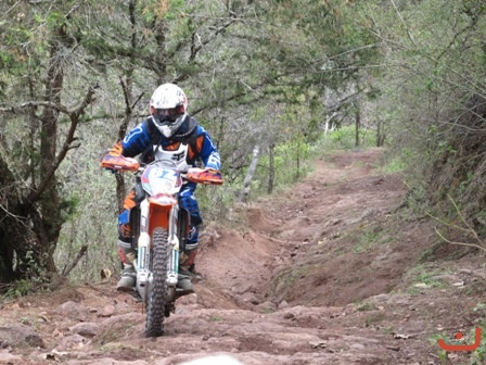Ameca 2015_29