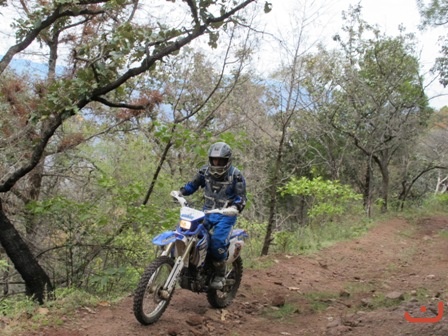 Ameca 2015_30