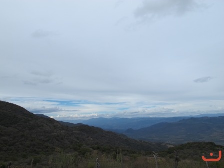 Ameca 2015_31