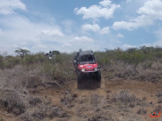 Clínicas de manejo 2015_42