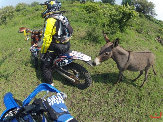 Presa Valencia 2015_11