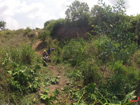 Presa Valencia 2015_8