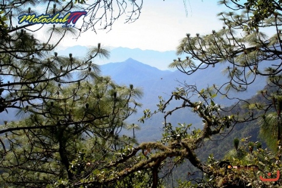 Talpa - Vallarta_48