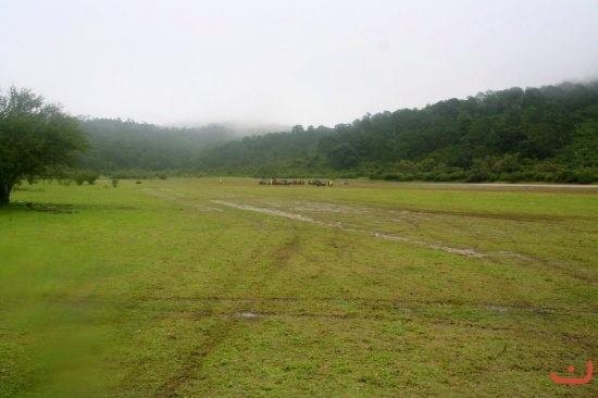 CALAQUE 2013_15